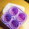 Bandeja de Silicone Roxa para Rosas GE - Ideal para Cultivar e Exibir Rosas em Casa - Durável e Prática - Entrega Rápida!