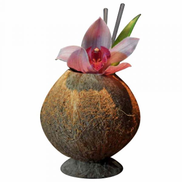 Óleo de Coco Natural de Alta Qualidade com Base 500ml - Produto de Excelência para Culinária Saudável e Cosmética. Compre Online!