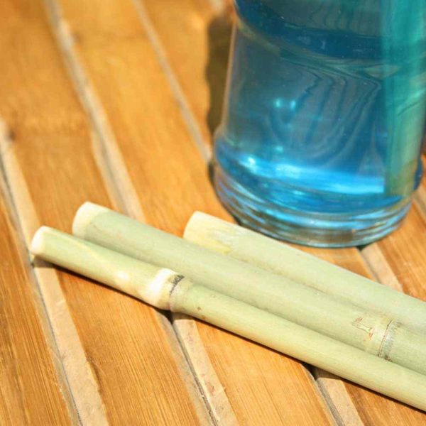 Palhinha de Bambu para Bebidas - Sustentável e Elegante - Ideal para Coquetéis e Sumos - Compre Online Agora!